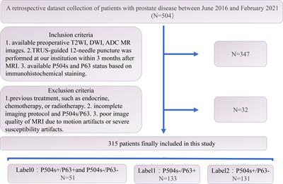 Radiomics-Based Machine Learning Models for Predicting P504s/P63 Immunohistochemical Expression: A Noninvasive Diagnostic Tool for Prostate Cancer